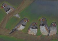 My feathered friends